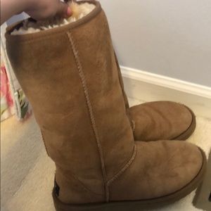 Tall chestnut uggs